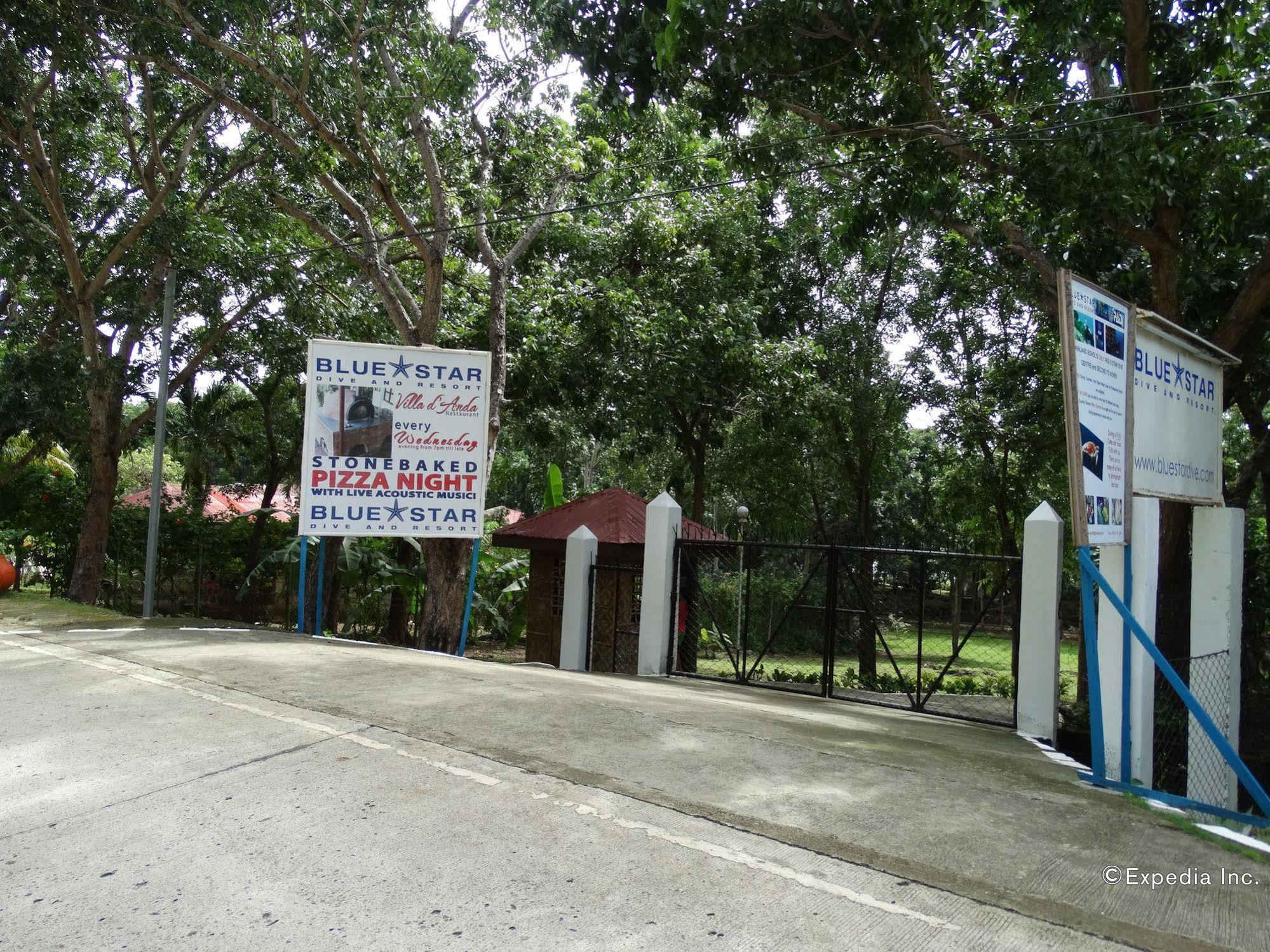 Blue Star Dive And 4* Anda (Visayas)